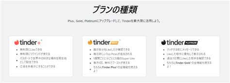 【Tinder】女性におすすめの課金プランは？【結論、無課金で。